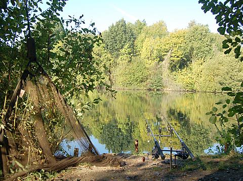 Adunate! - 124141214124.jpg